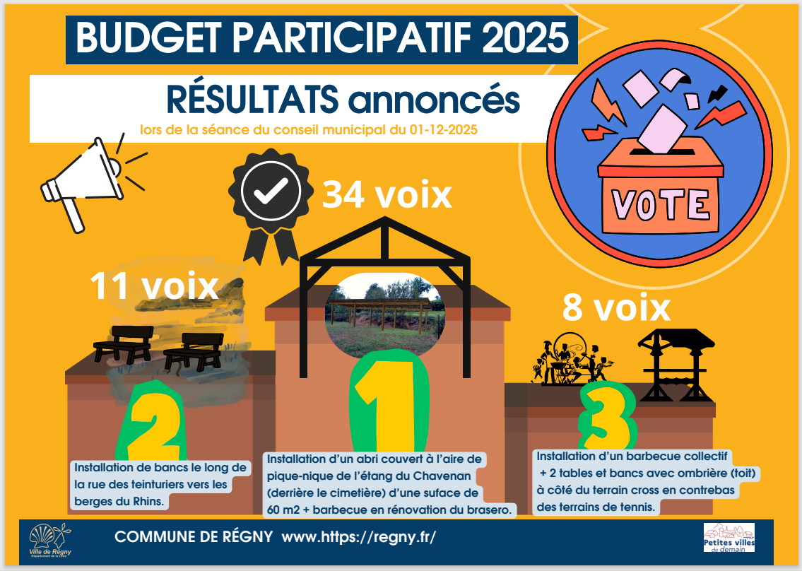 RESULTATS BUDGET PARTICIPATIF 2025