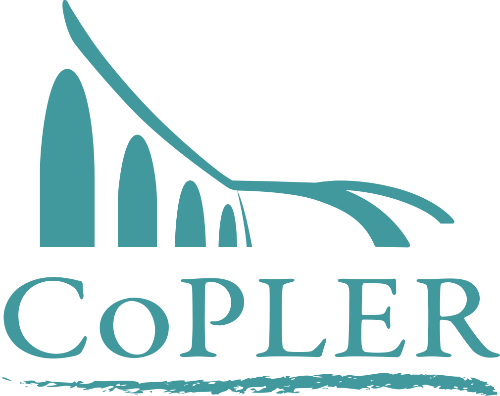 new logo copler bleu générique